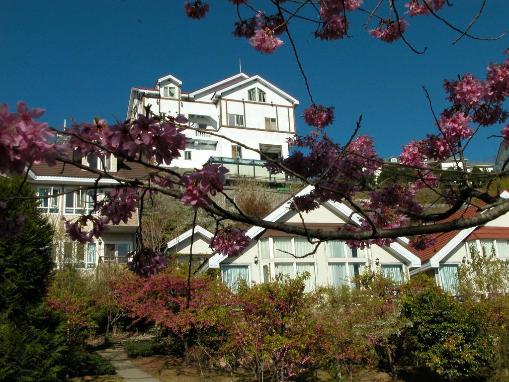 Dreamtown Apartamento Renai Exterior foto